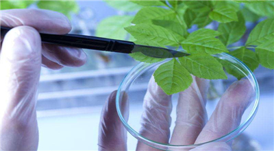 水質采樣器是做什么的，有什么應用？